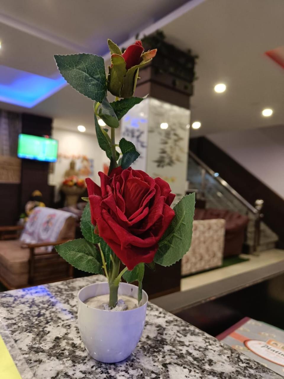 King Castle Mcleodganj-Centrally Heated And Air Cooled- Near Mall Road - Free Parking Дармсала Экстерьер фото